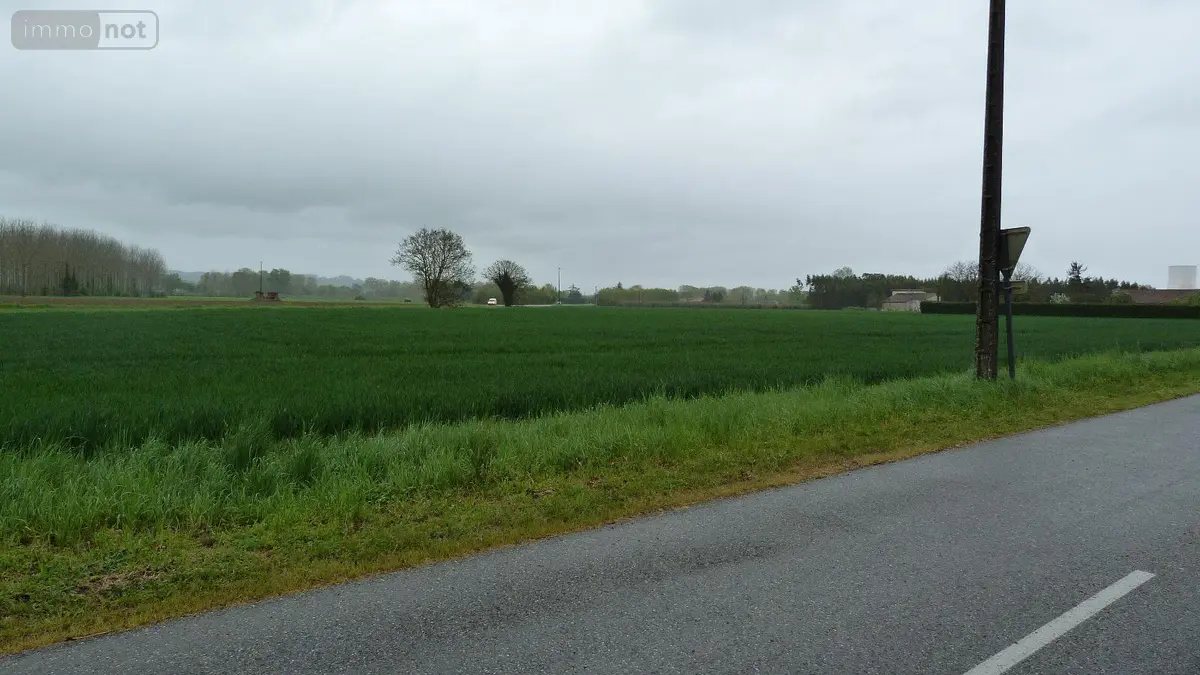 Terrain a batir a vendre Lamagistère 82360 Tarn-et-Garonne 82 25000 m2 198000 euros 1464 001