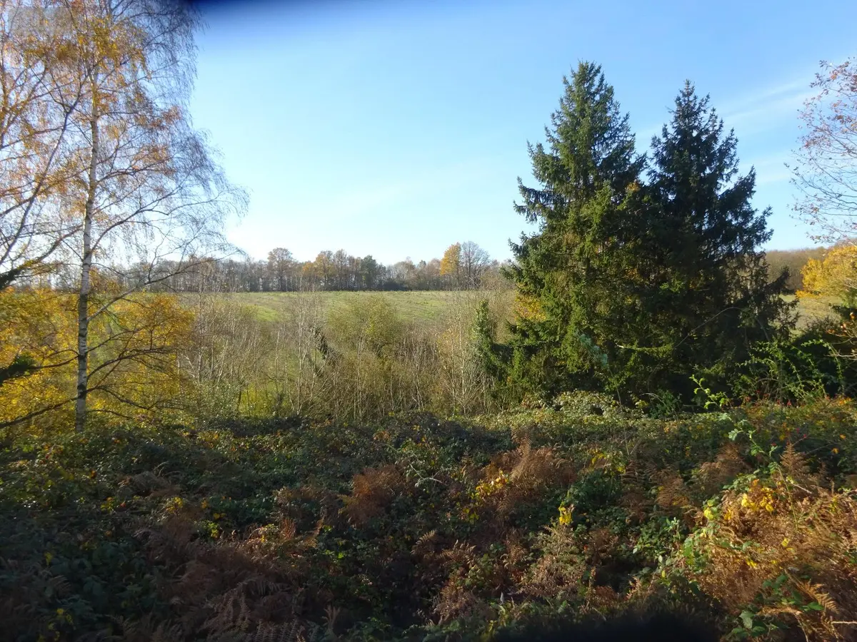 Terrains de loisirs bois etangs a vendre Soizé 28330 Eure-et-Loir 28 6200 euros SOI 938 001