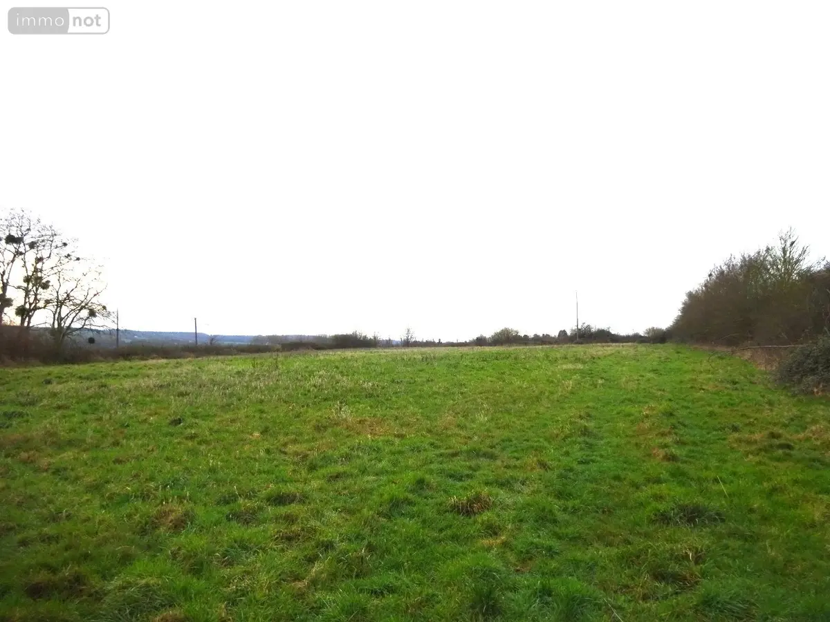 Divers a vendre Saint-Hilaire-sur-Erre 61340 Orne 61 17700 euros STH 945 001