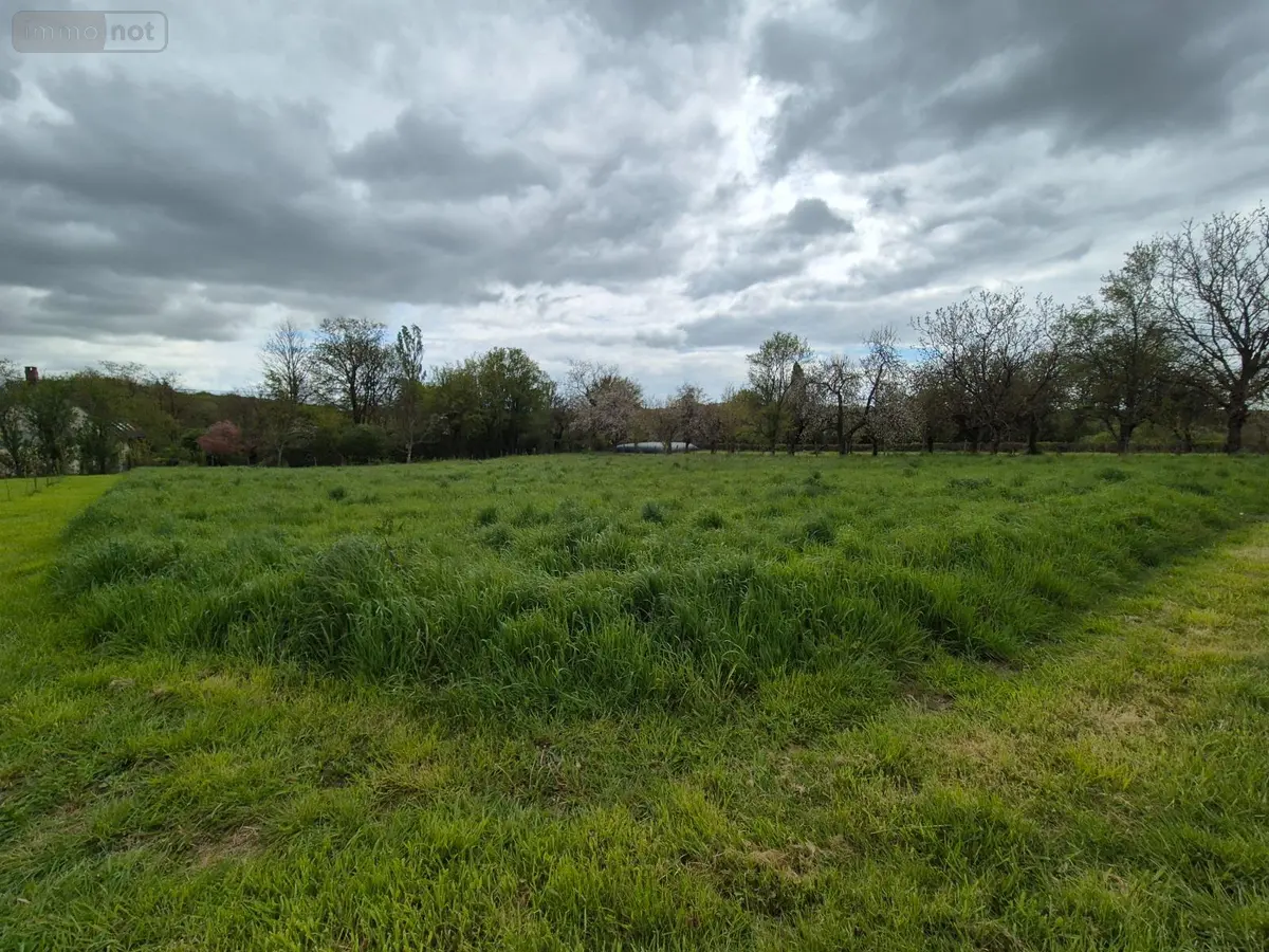 Terrain a batir a vendre Treigny-Perreuse-Sainte-Colombe 89520 Yonne 89 13600 euros Ref 053 001