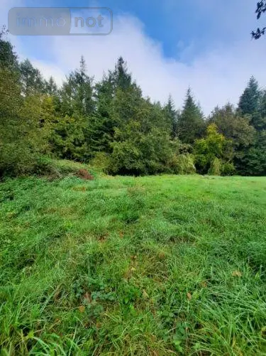 Terrain a batir a vendre La Chapelle-Bouëxic 35330 Ille-et-Vilaine 35 60446 euros 3223 001