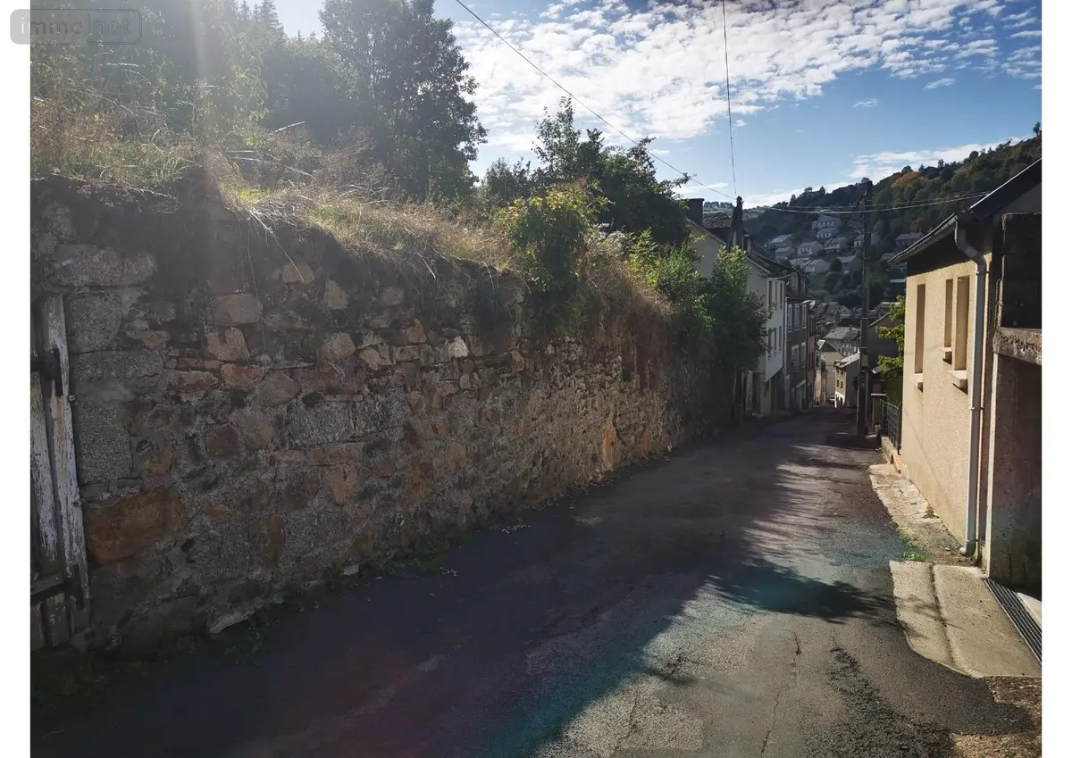 Bien agricole a vendre Chaudes-Aigues 15110 Cantal 15 10600 euros 1000737 001