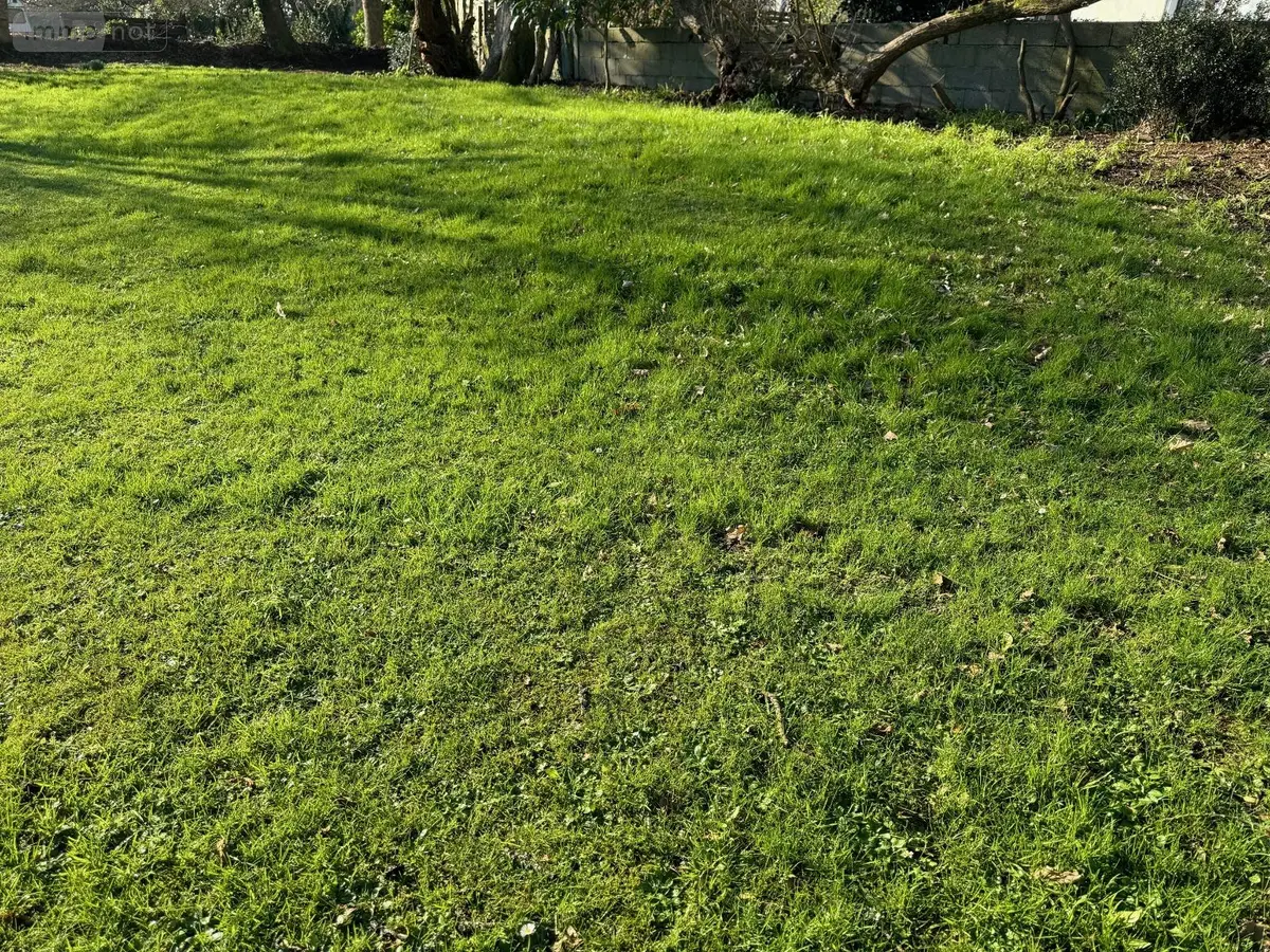 Terrain a batir a vendre Plougastel-Daoulas 29470 Finistère 29 164000 euros 1016407 001