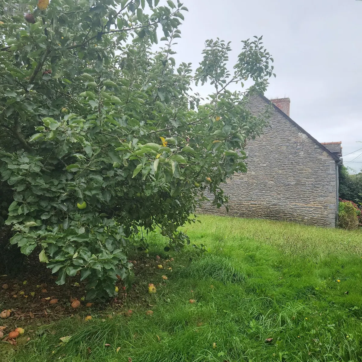 Maison a vendre Mesnil-Roc'h 35720 Ille-et-Vilaine 35 109 m2 6 pièces 220642 euros 1853 001