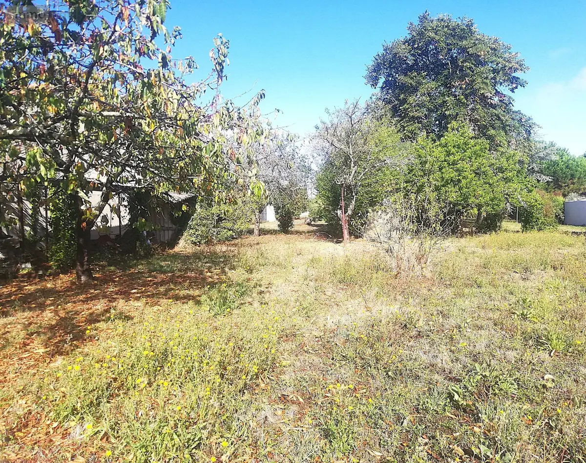 Terrain a batir a vendre Le Château-d'Oléron 17480 Charente-Maritime 17 126400 euros DD/JOM/25-34 001