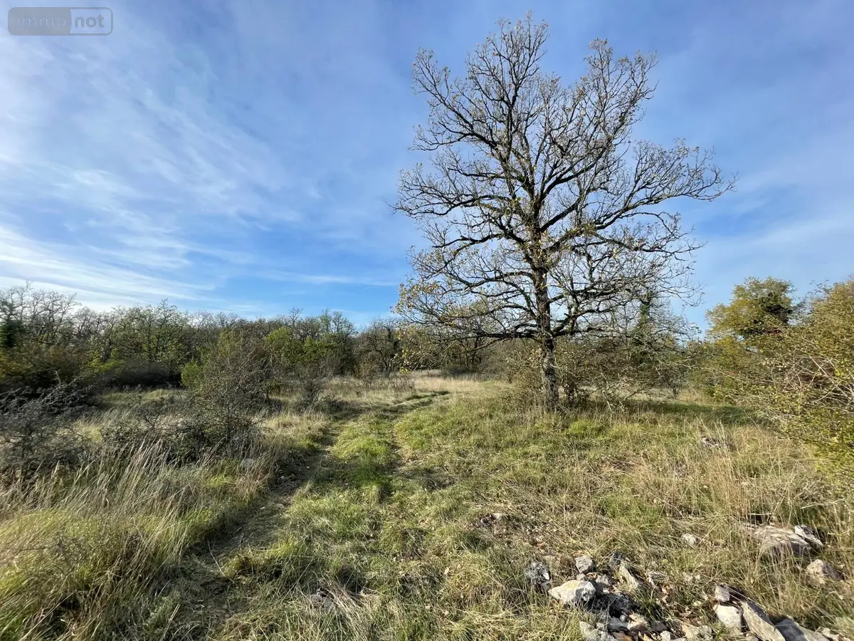 Terrains de loisirs bois etangs a vendre Assier 46320 Lot 46 23000 euros 25.029 001