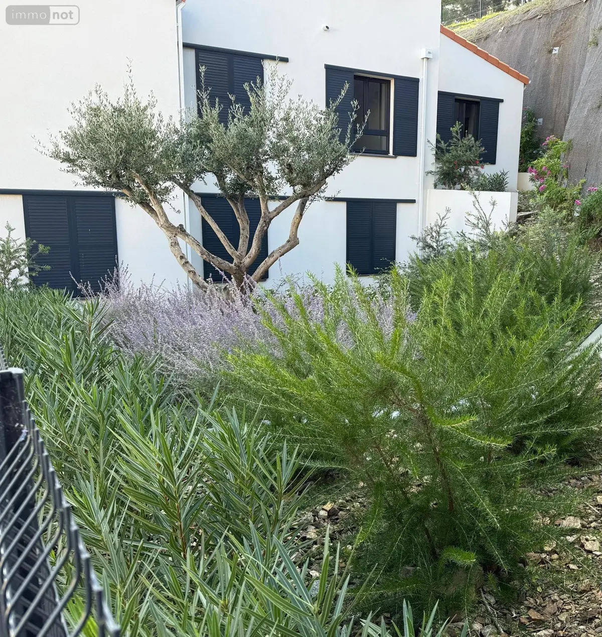 Appartement a vendre Collioure 66190 Pyrénées-Orientales 66 76 m2 3 pièces 450450 euros EM 001