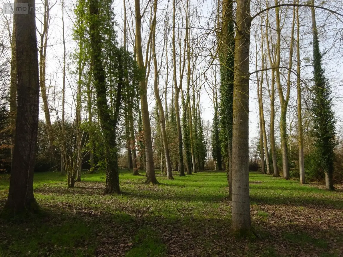 Terrains de loisirs bois etangs a vendre Nogent-le-Rotrou 28400 Eure-et-Loir 28 26500 euros NOG 1039 001