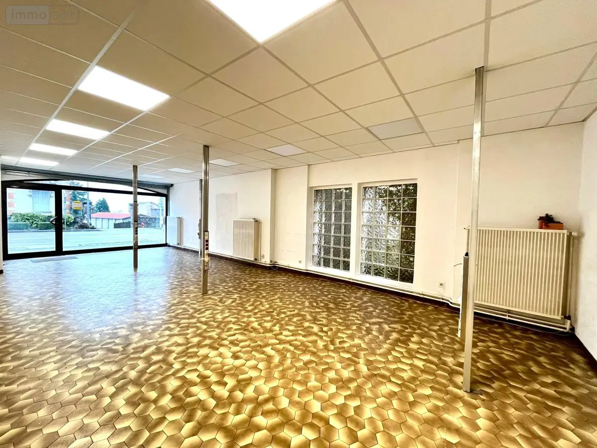 Immeuble de rapport a vendre Langres 52200 Haute-Marne 52 458 m2 5 pièces 250000 euros SGML115905 001
