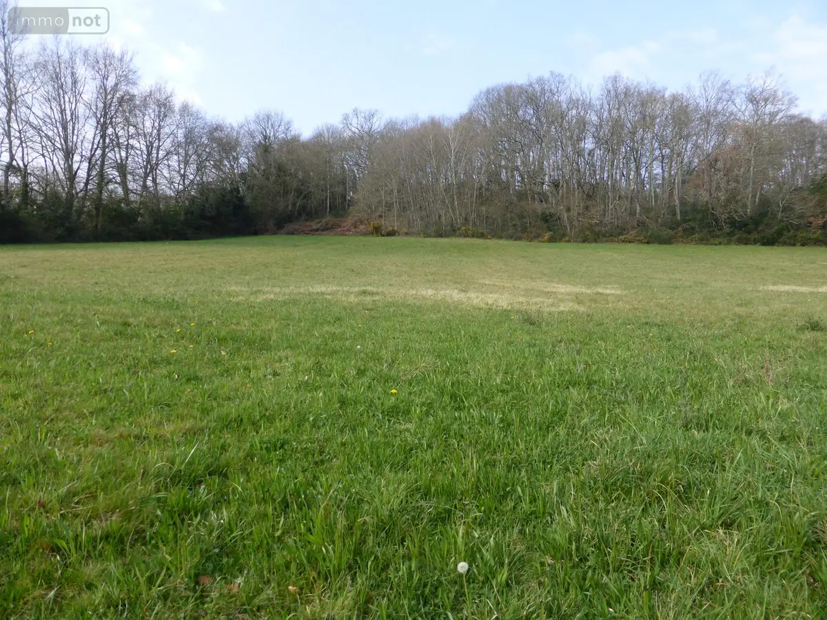 Terrain a batir a vendre Monléon-Magnoac 65670 Hautes-Pyrénées 65 34980 euros 26006 001