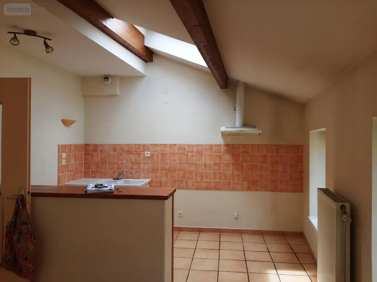 Location appartement Saint-Martin-en-Haut 69850 Rhône 69 50 m2 3 pièces 668 euros 260313 001