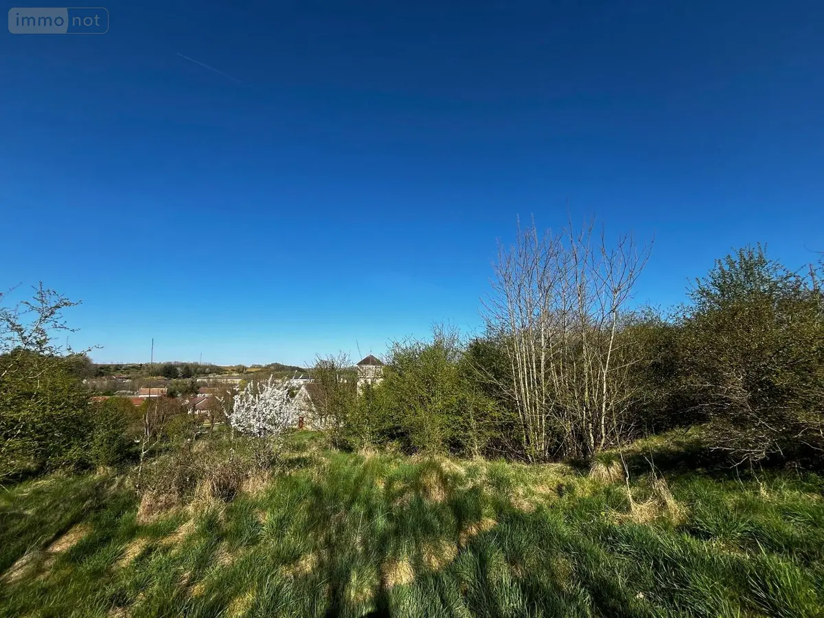 Terrain a batir a vendre Langres 52200 Haute-Marne 52 11235 m2 80000 euros ARML115674 001