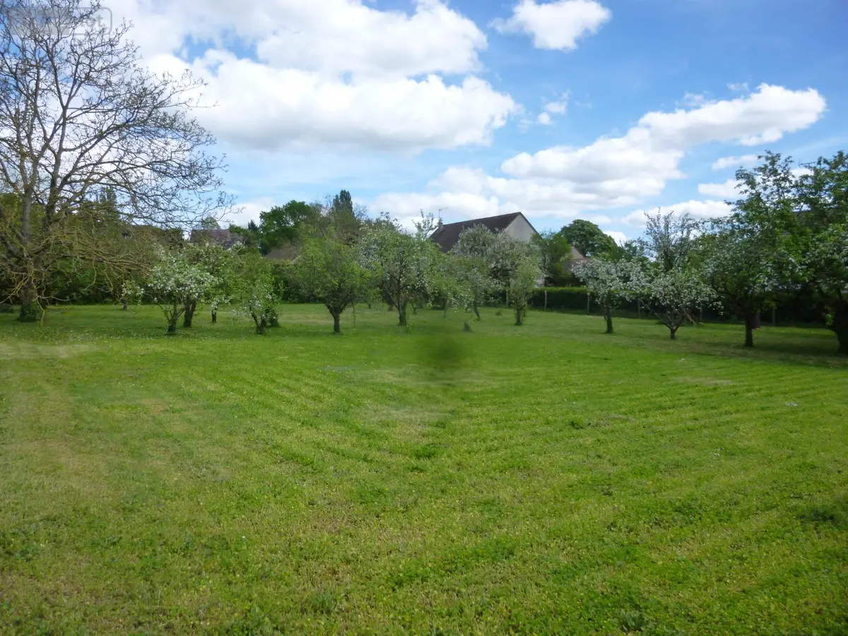 Terrain a batir a vendre Saint-Père 58200 Nièvre 58 1859 m2 21200 euros ST 268 001