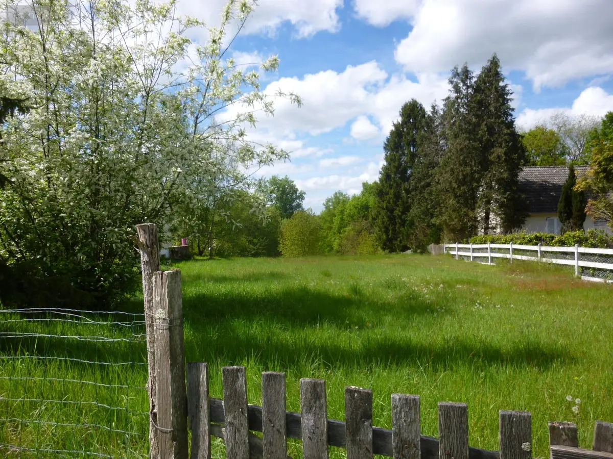 Terrains de loisirs bois etangs a vendre Tracy-sur-Loire 58150 Nièvre 58 12200 euros ST 269 001
