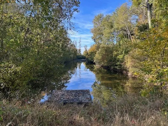 Terrains de loisirs bois etangs a vendre Clérey 10390 Aube 10 63600 euros achat_terrain_de_loisir_bois_etang_com_10100_10390 001