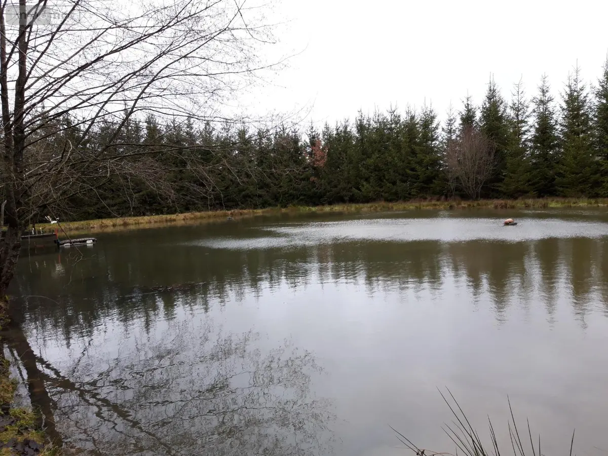 Terrains de loisirs bois etangs a vendre Le Baizil 51270 Marne 51 45000 euros ETANG + PEUPLERAIE 001