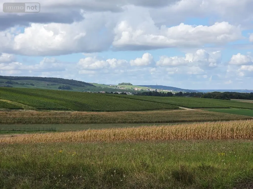 Terrain a batir a vendre Sermiers 51500 Marne 51 230000 euros achat_terrain_a_batir_com_51532_51500 001