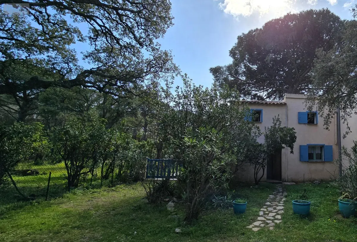 Maison a vendre Porto-Vecchio 20137 Corse-du-Sud 2A 50 m2 3 pièces 295000 euros 203257 001