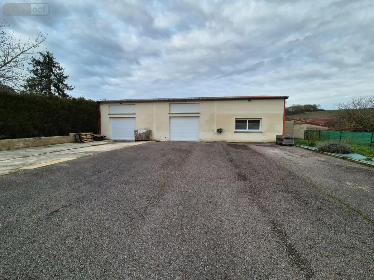 Immeuble de rapport a vendre Le Baizil 51270 Marne 51 250 m2 235000 euros BATIMENT RENOVE 001