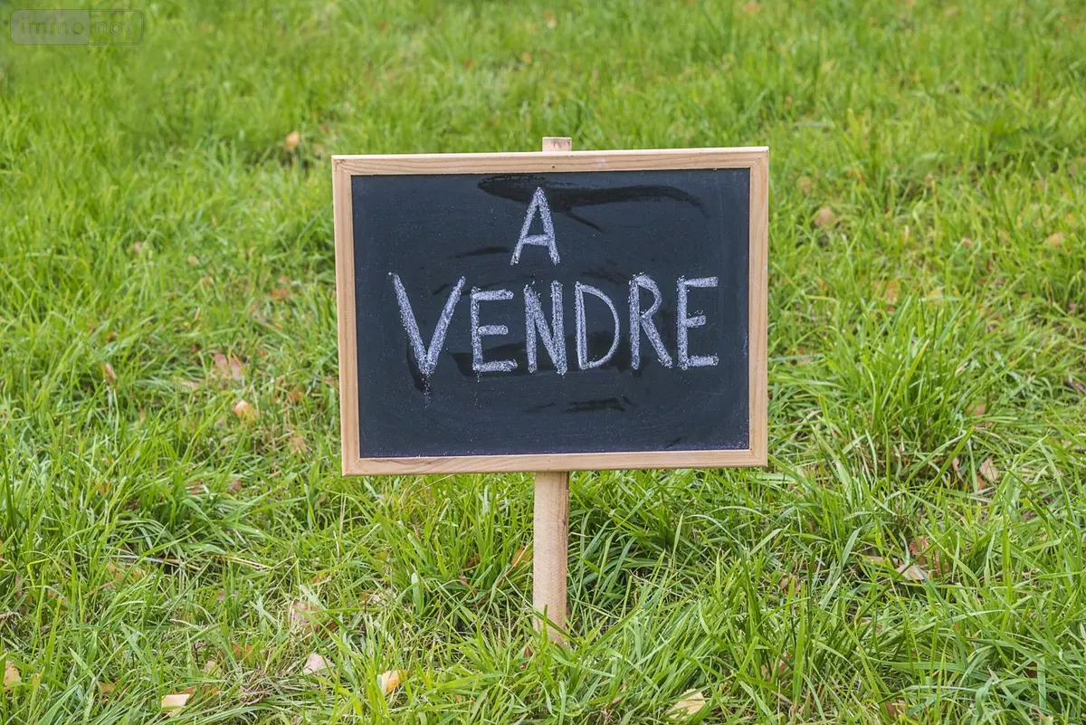 Terrain a batir a vendre Rilly-la-Montagne 51500 Marne 51 110000 euros achat_terrain_a_batir_com_51461_51500 001
