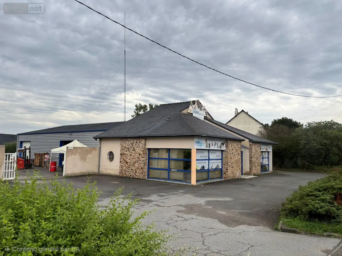 Fonds et murs commerciaux a vendre Bain-de-Bretagne 35470 Ille-et-Vilaine 35 397100 euros 44056-337 001