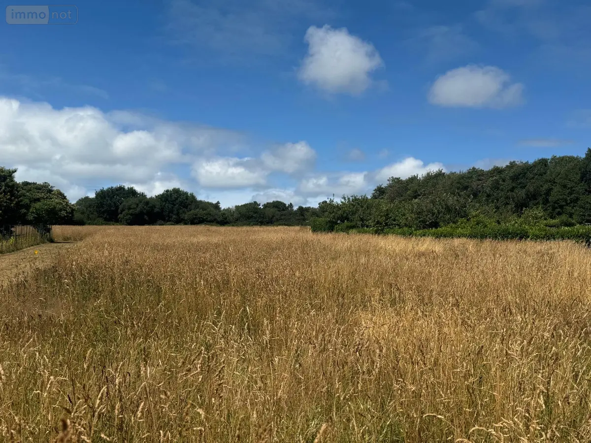 Terrain a batir a vendre Telgruc-sur-Mer 29560 Finistère 29 117500 euros 1021096 001