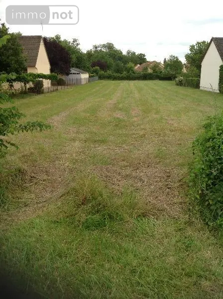 Terrain a batir a vendre Ciron 36300 Indre 36 1313 m2 12720 euros 037/1106 001