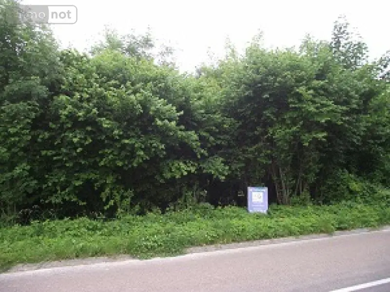 Terrain a batir a vendre Trouans 10700 Aube 10 38000 euros 1001374 001
