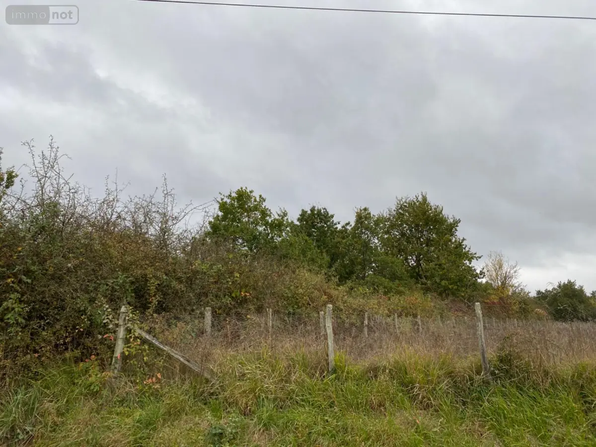 Terrain a batir a vendre Paulnay 36290 Indre 36 13800 euros 1035448 001