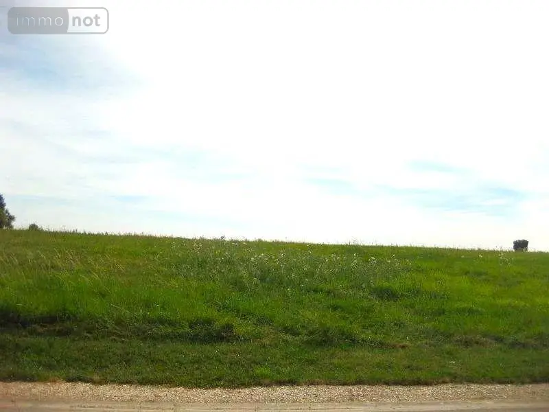 Terrain a batir a vendre Le Meix-Tiercelin 51320 Marne 51 21200 euros 51081/140 001