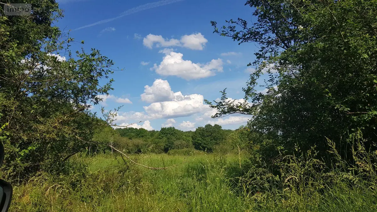 Terrain a batir a vendre Mennetou-sur-Cher 41320 Loir-et-Cher 41 3258 m2 63780 euros 41036/1516 001