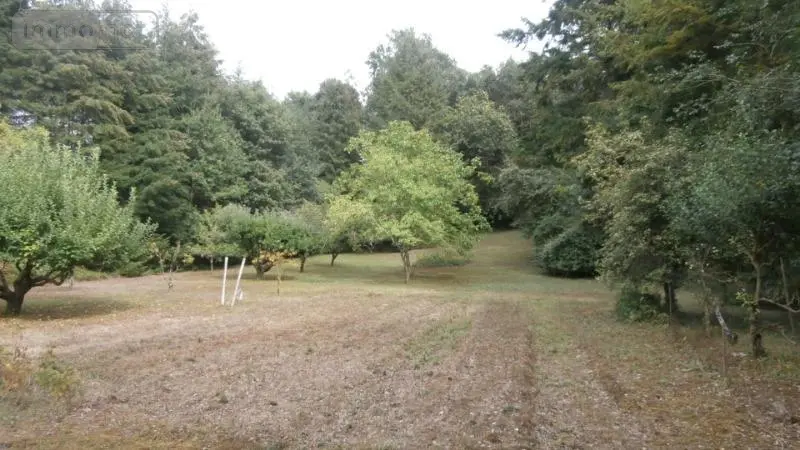 Terrain a batir a vendre Levroux 36110 Indre 36 29810 euros 36019/704 001