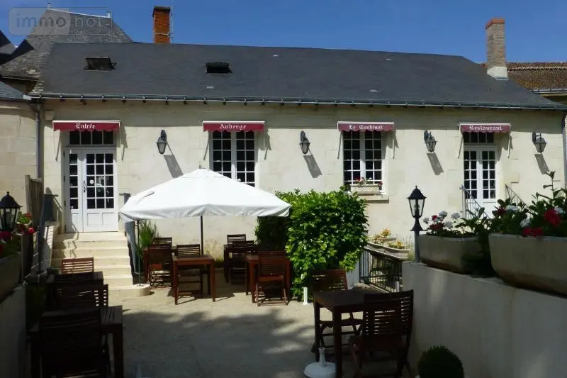 Divers a vendre Richelieu 37120 Indre-et-Loire 37 290000 euros 11893/316 001