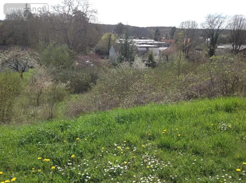 Terrain a batir a vendre Saint-Gaultier 36800 Indre 36 860 m2 14430 euros 037/1697 001