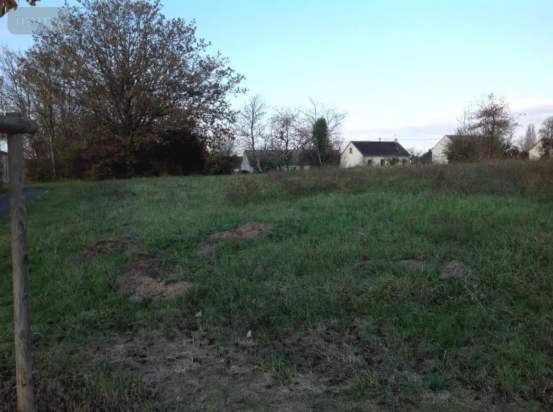 Terrain a batir a vendre Saint-Gaultier 36800 Indre 36 600 m2 8820 euros 037/1698 001