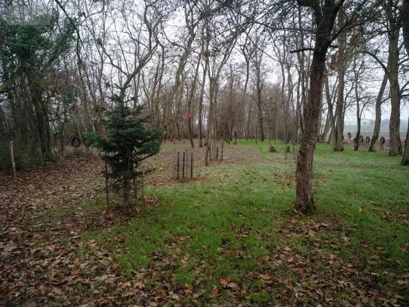 Terrains de loisirs bois etangs a vendre Saint-Outrille 18310 Cher 18 32791 euros 142136G 001