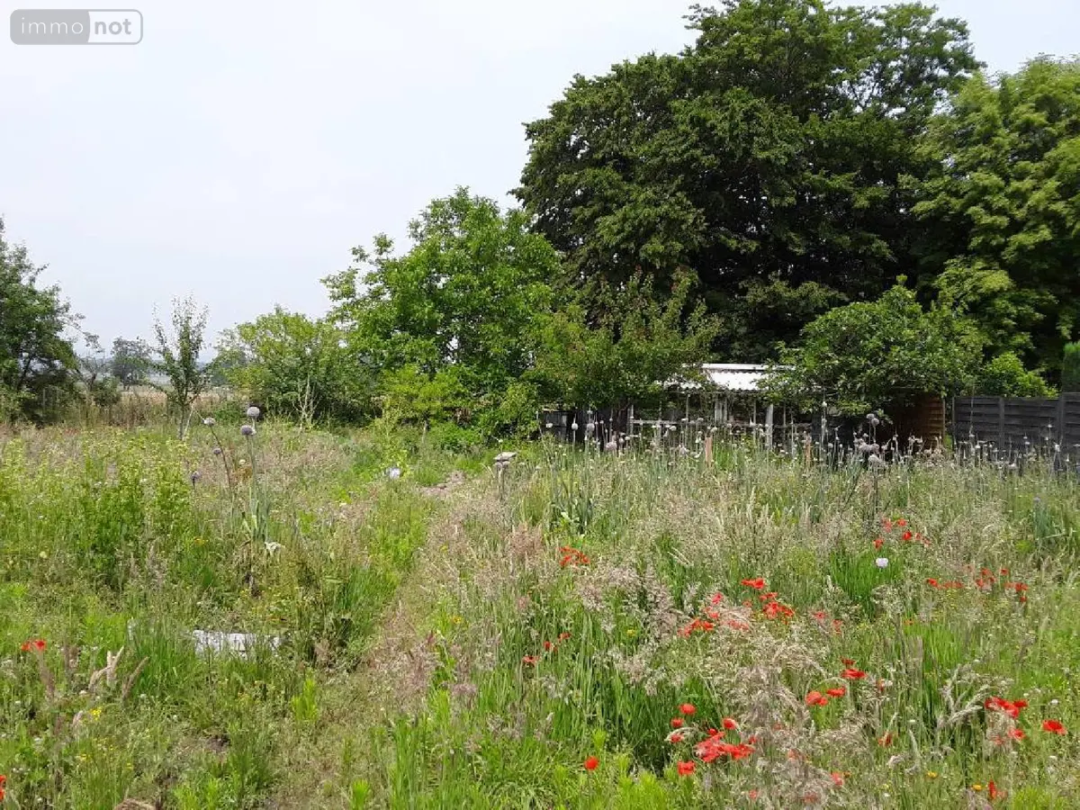 Terrain a batir a vendre Cuts 60400 Oise 60 44000 euros 60056-352311 001