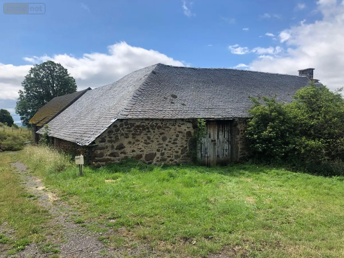 Maison a vendre Peyrusse 15170 Cantal 15 28000 euros MB/1566 001