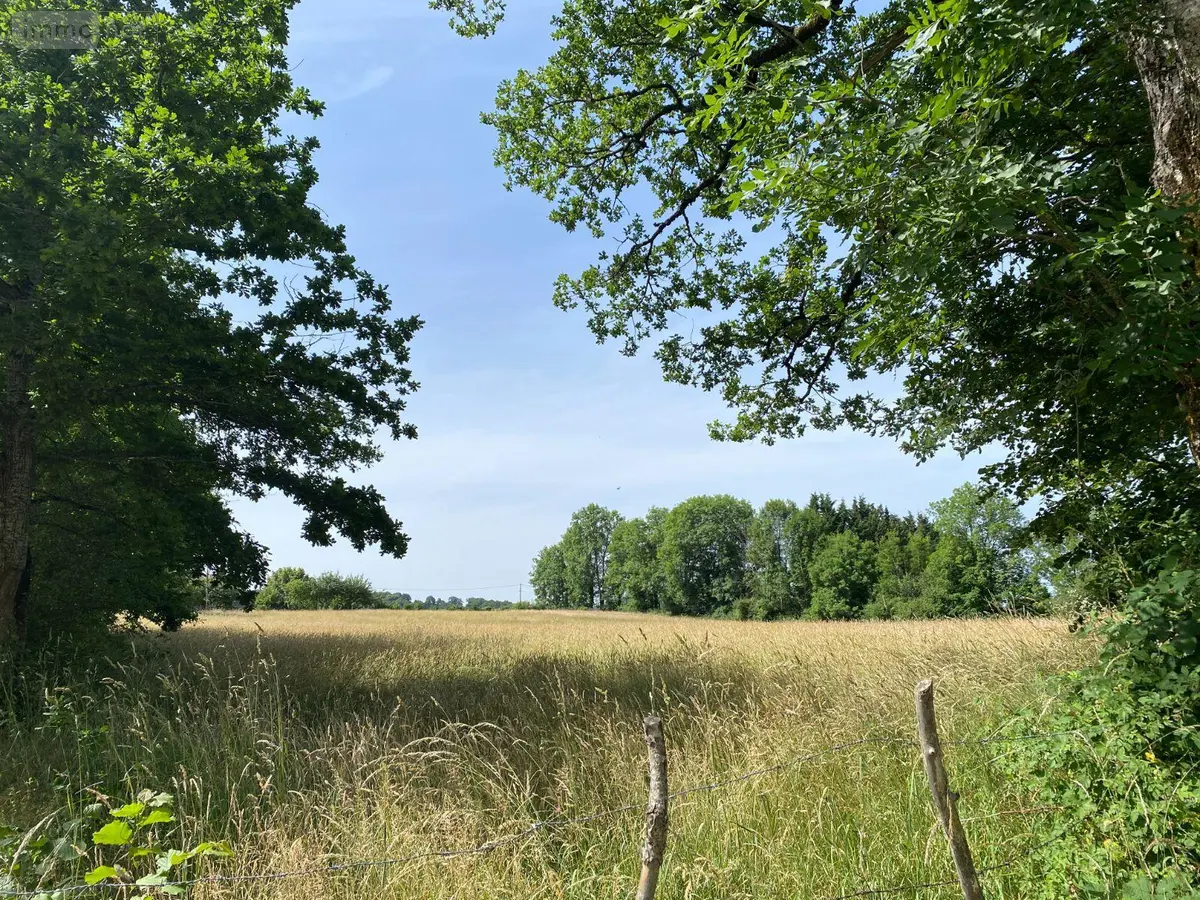 Terrain a batir a vendre Mauriac 15200 Cantal 15 4000 m2 53000 euros 15060/889 001
