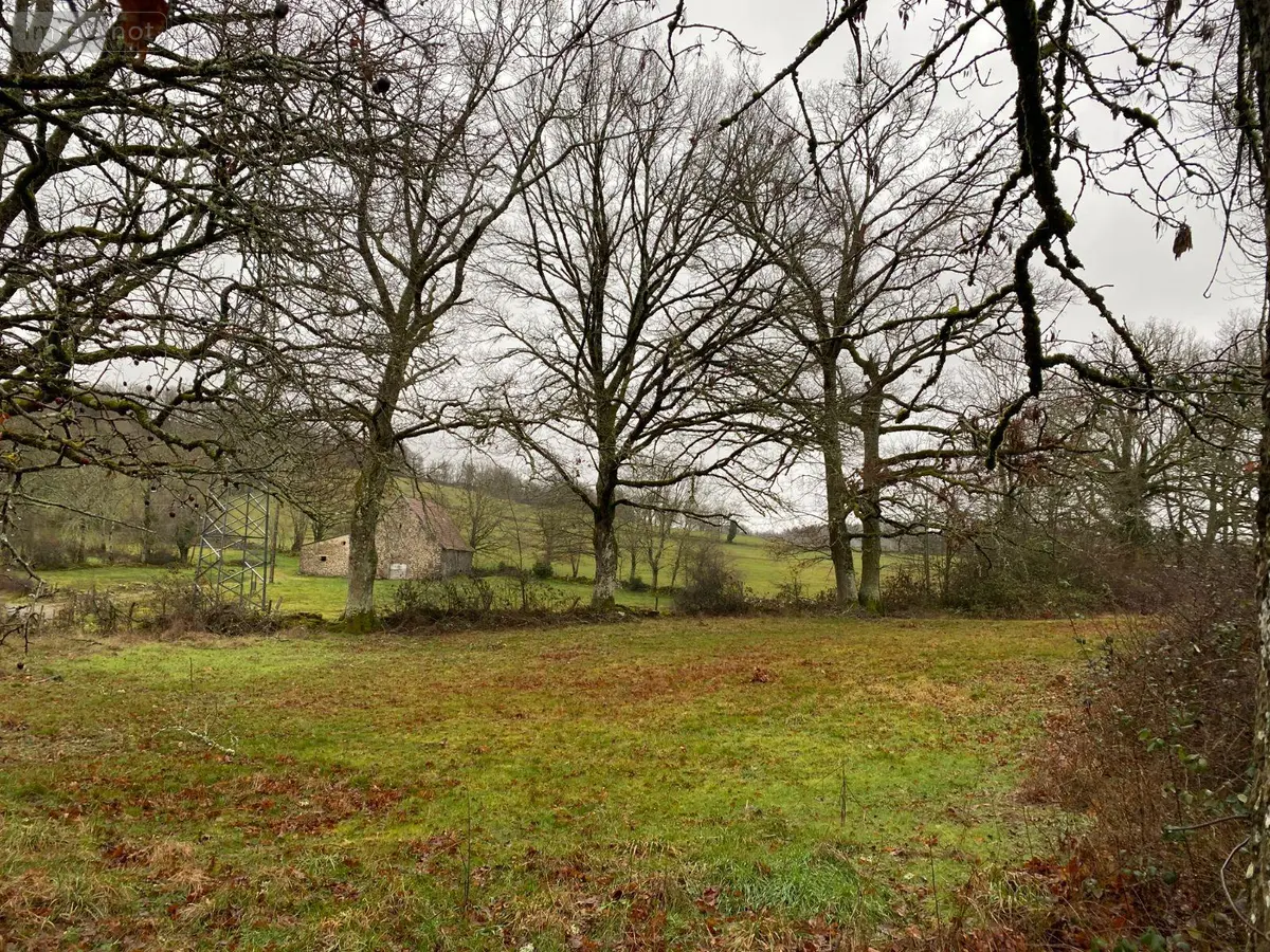 Terrain a batir a vendre Mauriac 15200 Cantal 15 31800 euros 15060/907 001
