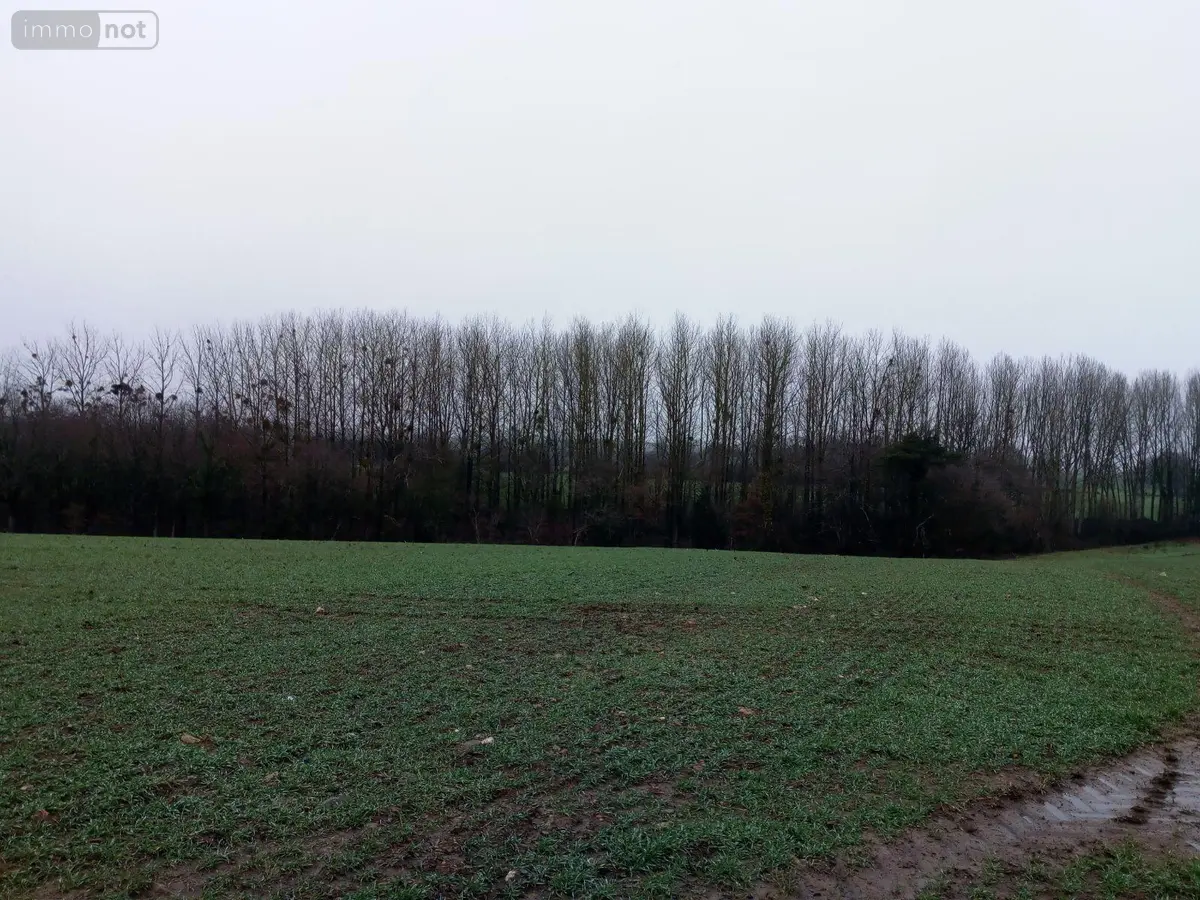 Divers a vendre Vimartin-sur-Orthe 53160 Mayenne 53 3600 euros 805 001