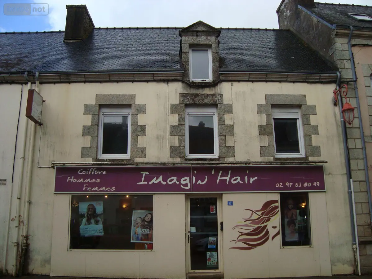 Immeuble de rapport a vendre Pluméliau-Bieuzy 56310 Morbihan 56 117 m2 6 pièces 141800 euros 063-77 001