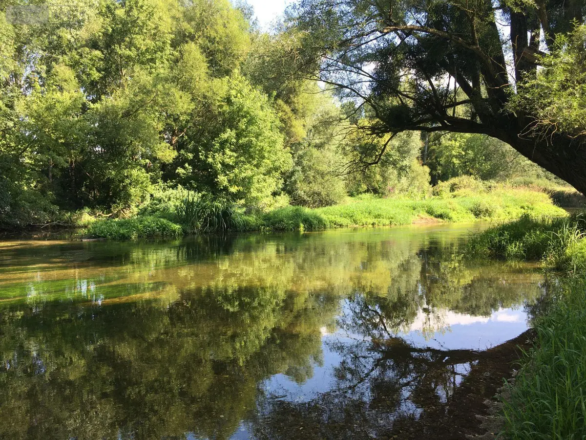 Terrains de loisirs bois etangs a vendre Buzançais 36500 Indre 36 13800 euros 1044248BIS 001