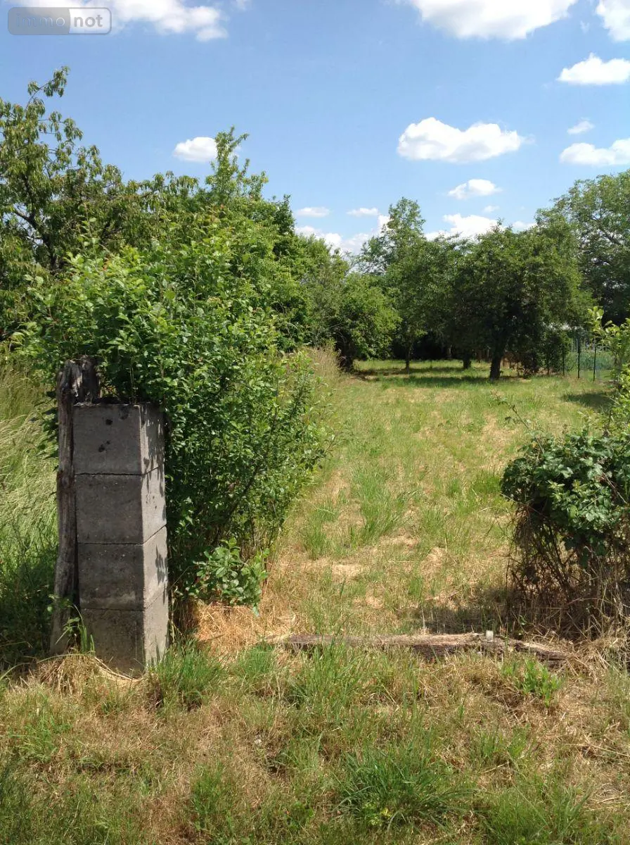 Terrain a batir a vendre Chasseneuil 36800 Indre 36 15000 euros 037/2037 001