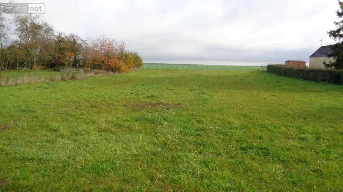 Terrain a batir a vendre Josnes 41370 Loir-et-Cher 41 45000 euros 41022/1143 001