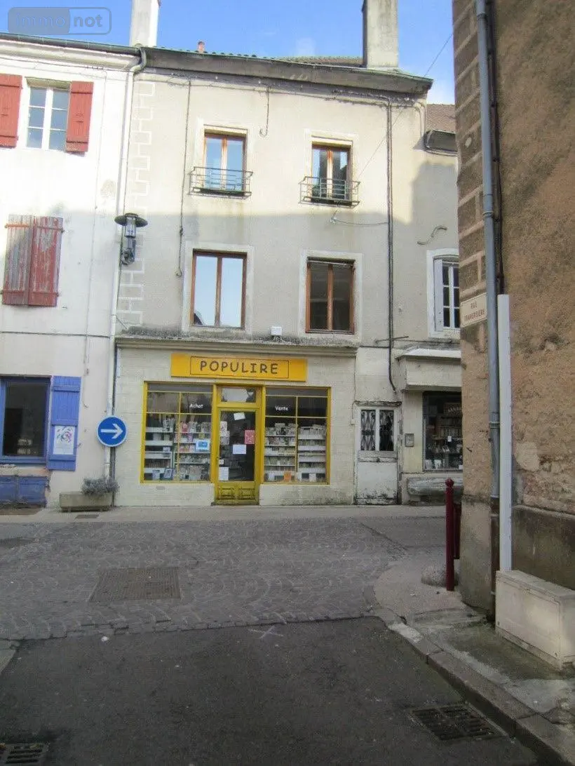 Immeuble de rapport a vendre Cuisery 71290 Saône-et-Loire 71 116600 euros 13755/414 001