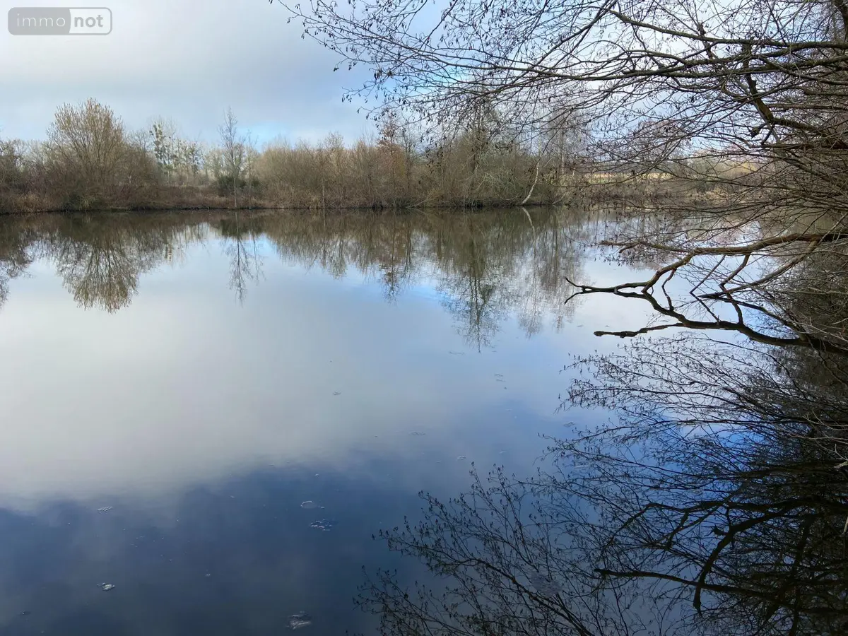 Terrains de loisirs bois etangs a vendre Requeil 72510 Sarthe 72 53000 euros TL/0014 001