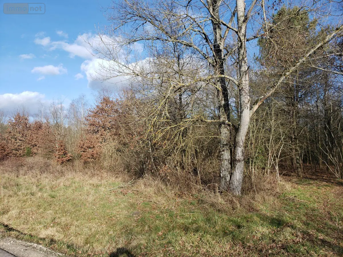 Terrain a batir a vendre Romorantin-Lanthenay 41200 Loir-et-Cher 41 1828 m2 67456 euros 41036/2433 001