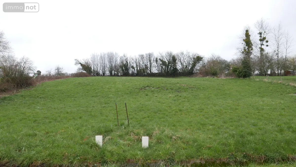 Terrain a batir a vendre Faissault 08270 Ardennes 08 30300 euros 08018--1995G 001