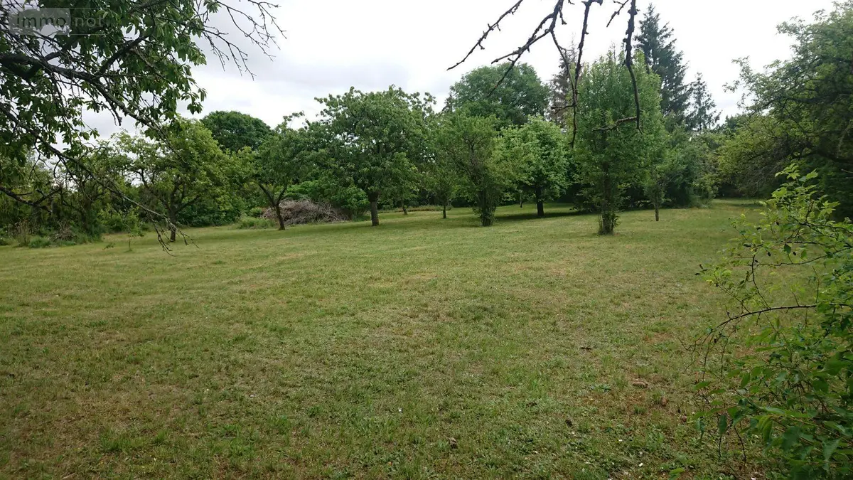 Terrain a batir a vendre Bayel 10310 Aube 10 2515 m2 33000 euros 10379/505 001